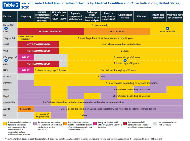 CDC Updated Adult Immunization Schedule